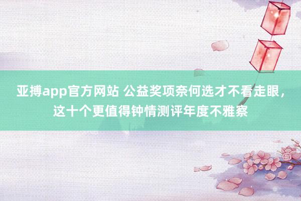 亚搏app官方网站 公益奖项奈何选才不看走眼，这十个更值得钟情测评年度不雅察
