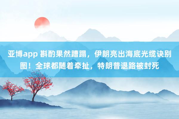 亚博app 斟酌果然蹧蹋，伊朗亮出海底光缆诀别图！全球都随着牵扯，特朗普退路被封死