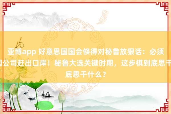 亚博app 好意思国国会倏得对秘鲁放狠话：必须把中国公司赶出口岸！秘鲁大选关键时期，这步棋到底思干什么？