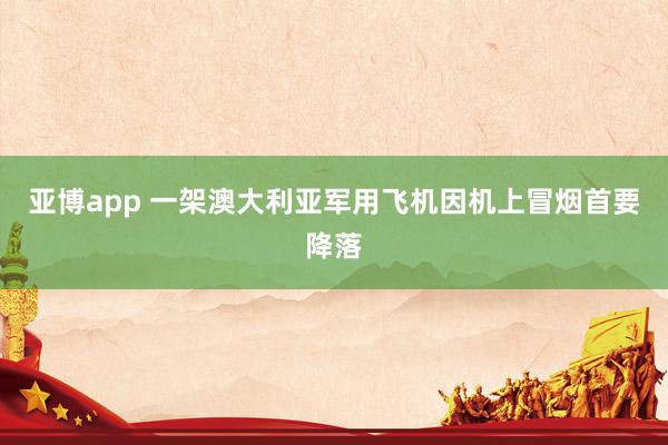 亚博app 一架澳大利亚军用飞机因机上冒烟首要降落