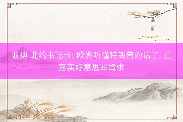 亚搏 北约书记长: 欧洲听懂特朗普的话了, 正落实好意思军肯求